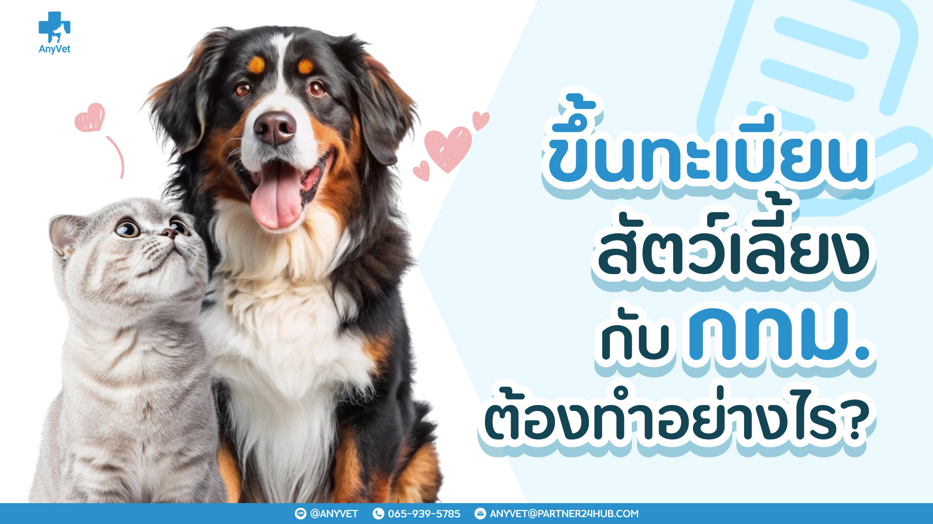 How to Register Your Pet in Bangkok Under the 2026 Regulation